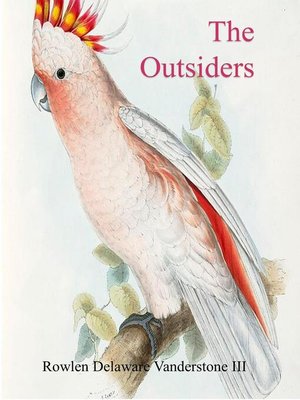 cover image of The Outsiders